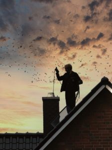 Ramonage Et Entretien Amiable Ramoneur Bordeaux Chimney Sweep 6472673 1280 135